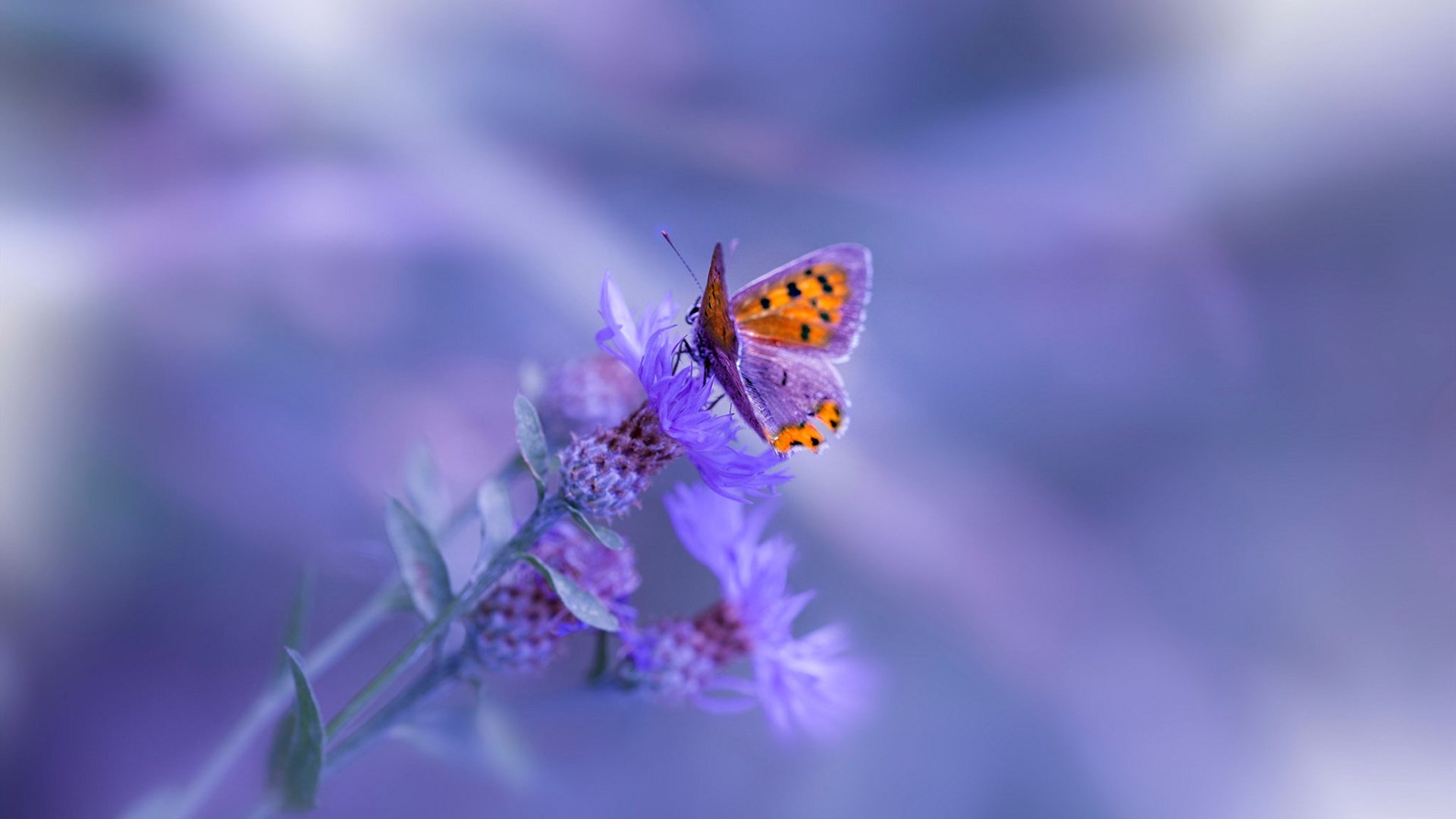 _运动员在训练中的趣味花絮曝光_，运动员vlog