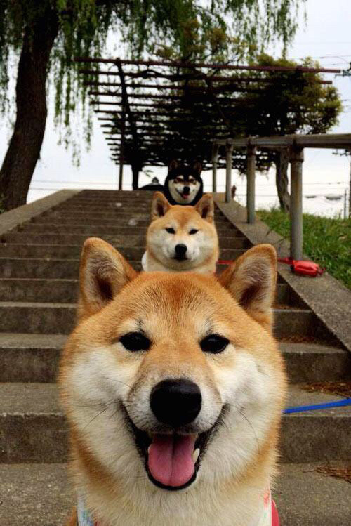 _运动员在训练中的趣味花絮曝光_,运动员vlog