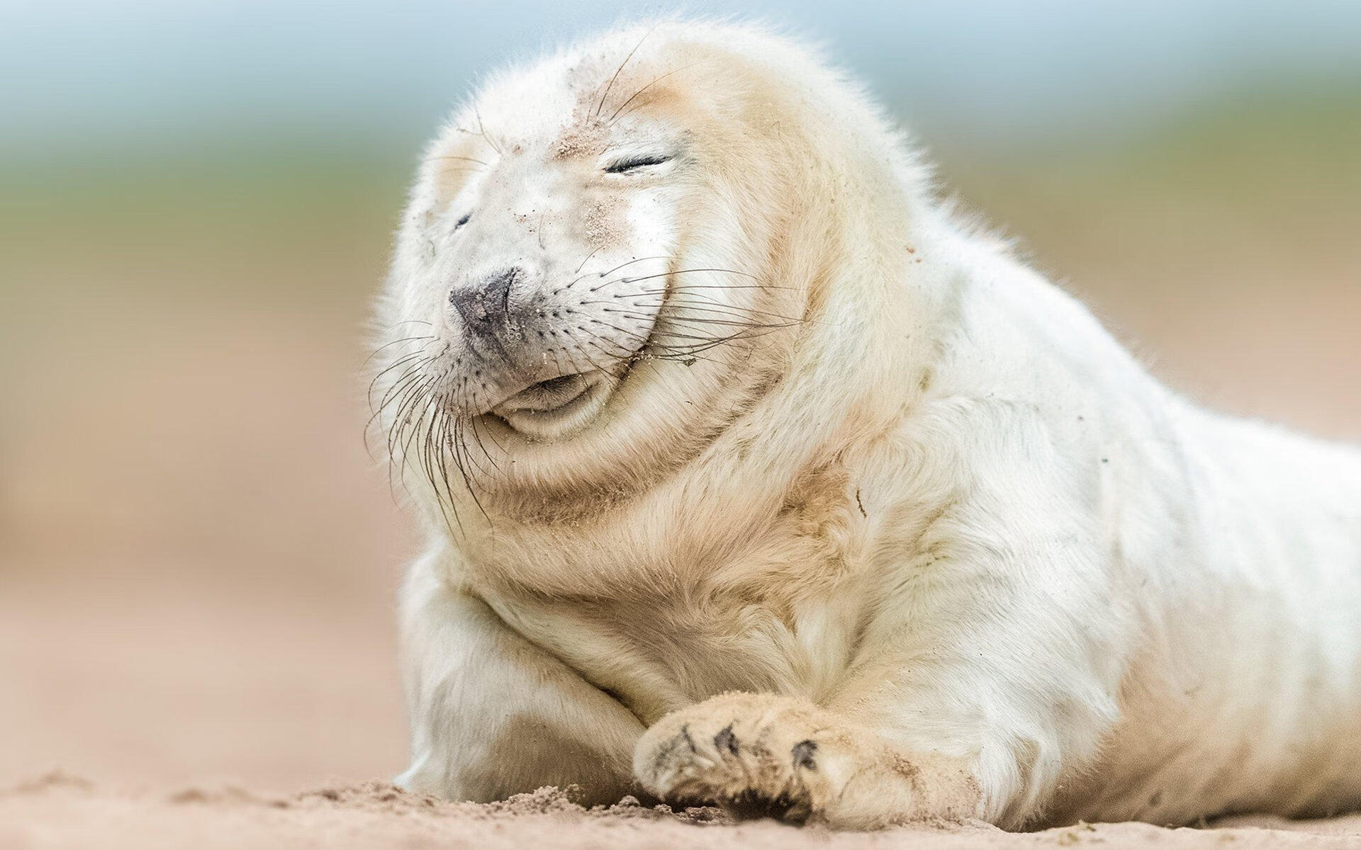 争夺欧战席位：积分榜上的激烈角逐，最新欧战席位分配规则