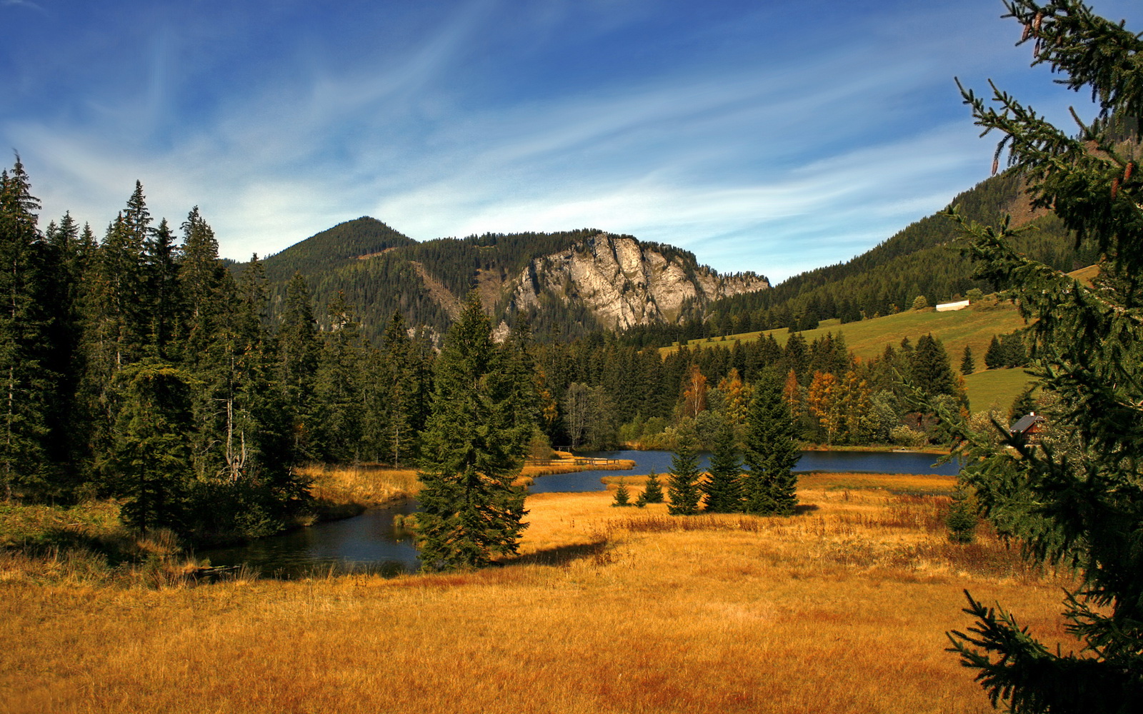 爵士新秀首发出战即砍下两双,刷新队史纪录,爵士现阵容