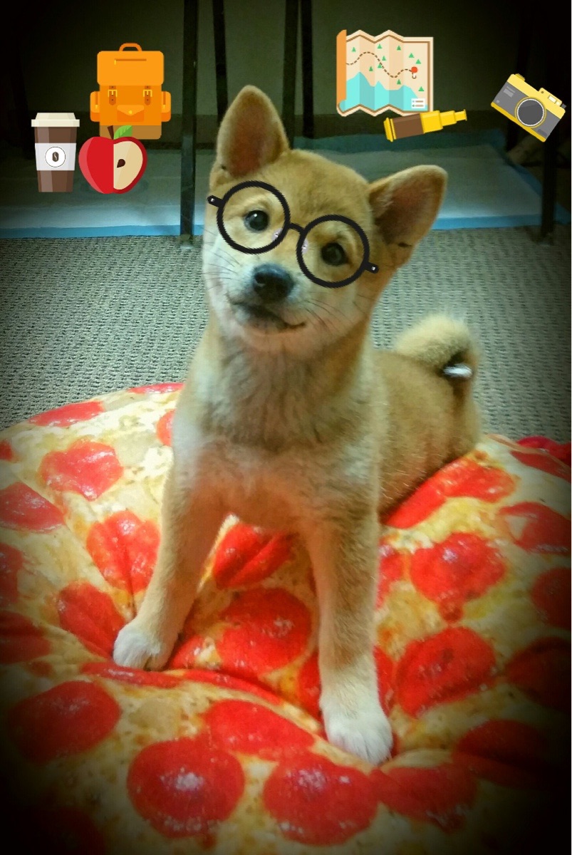 NBA明星球员在季前训练中积极备战新赛季，nba明星球员在季前训练中积极备战新赛季的是谁