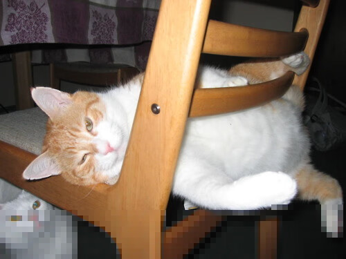 世界象棋联合会主席霍震霆：用象棋讲好中国故事，世界象棋比赛视频