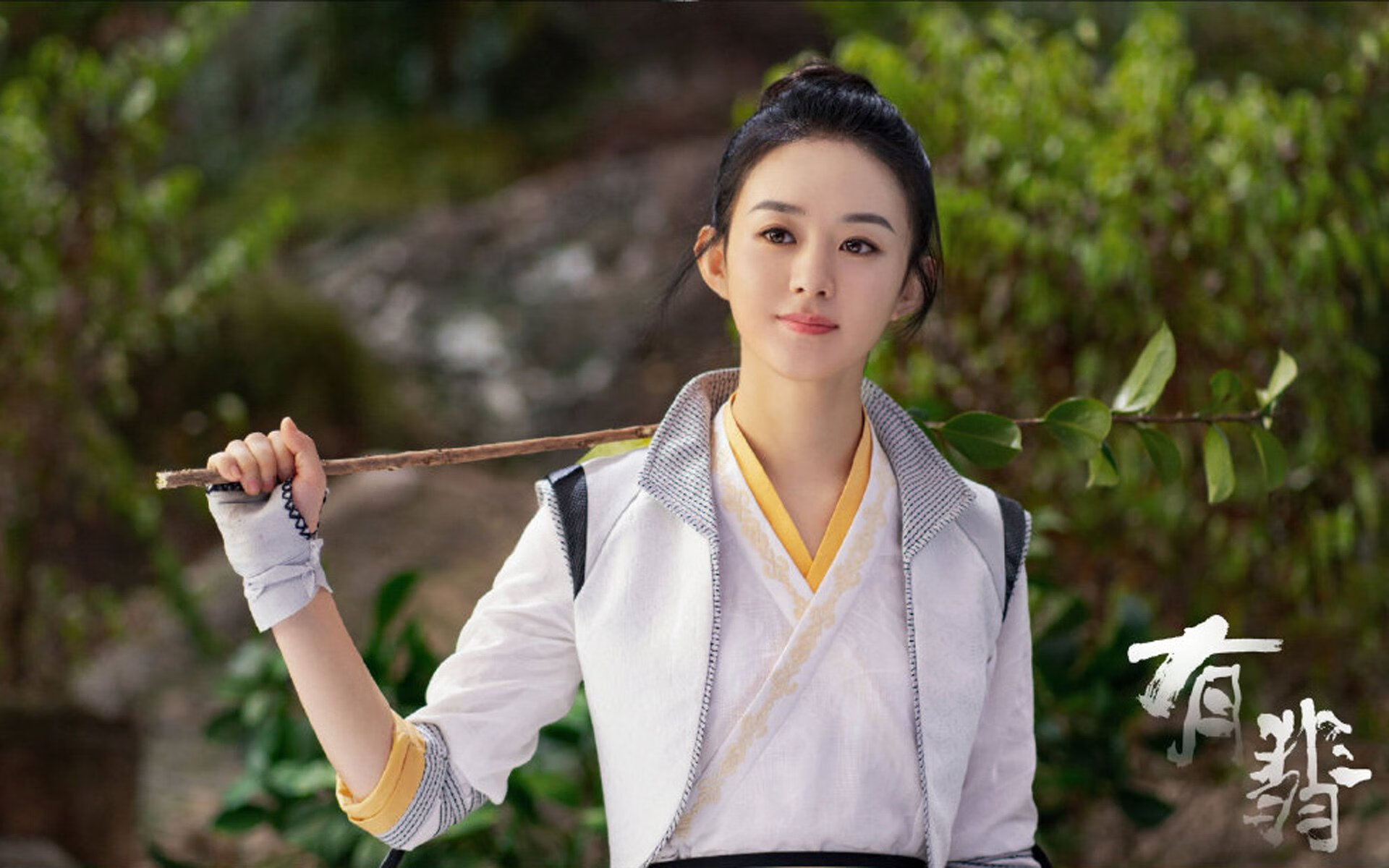 尼斯在主场战胜对手,法国联赛积分榜上升,法国尼斯队老球迷