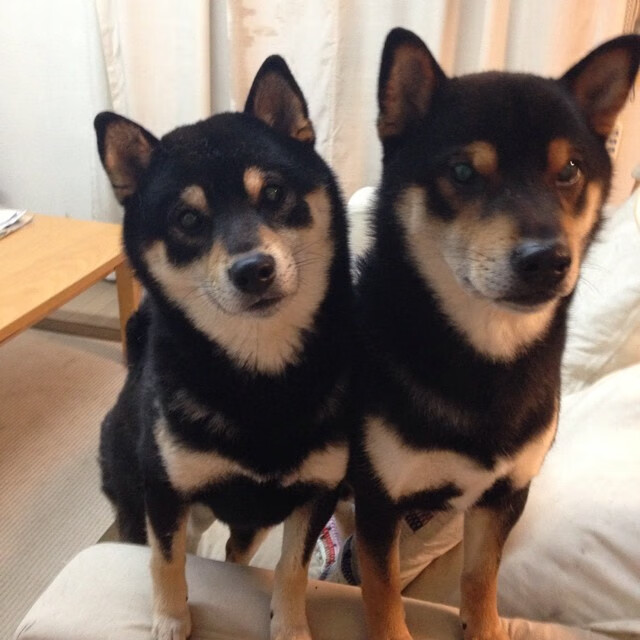 欧洲著名球队之间的较量引发球迷热议,欧洲各球队排名