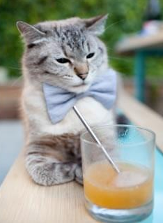 篮网新秀奥南瓦防守绝杀雷霆开心取胜,篮网队奥拉迪波