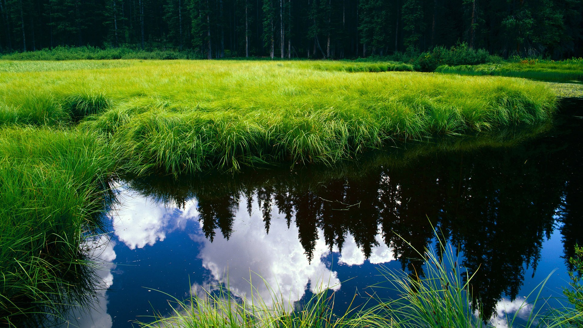 新闻中心发布国内外高水平教练引进计划说明，高级教练员岗位培训班